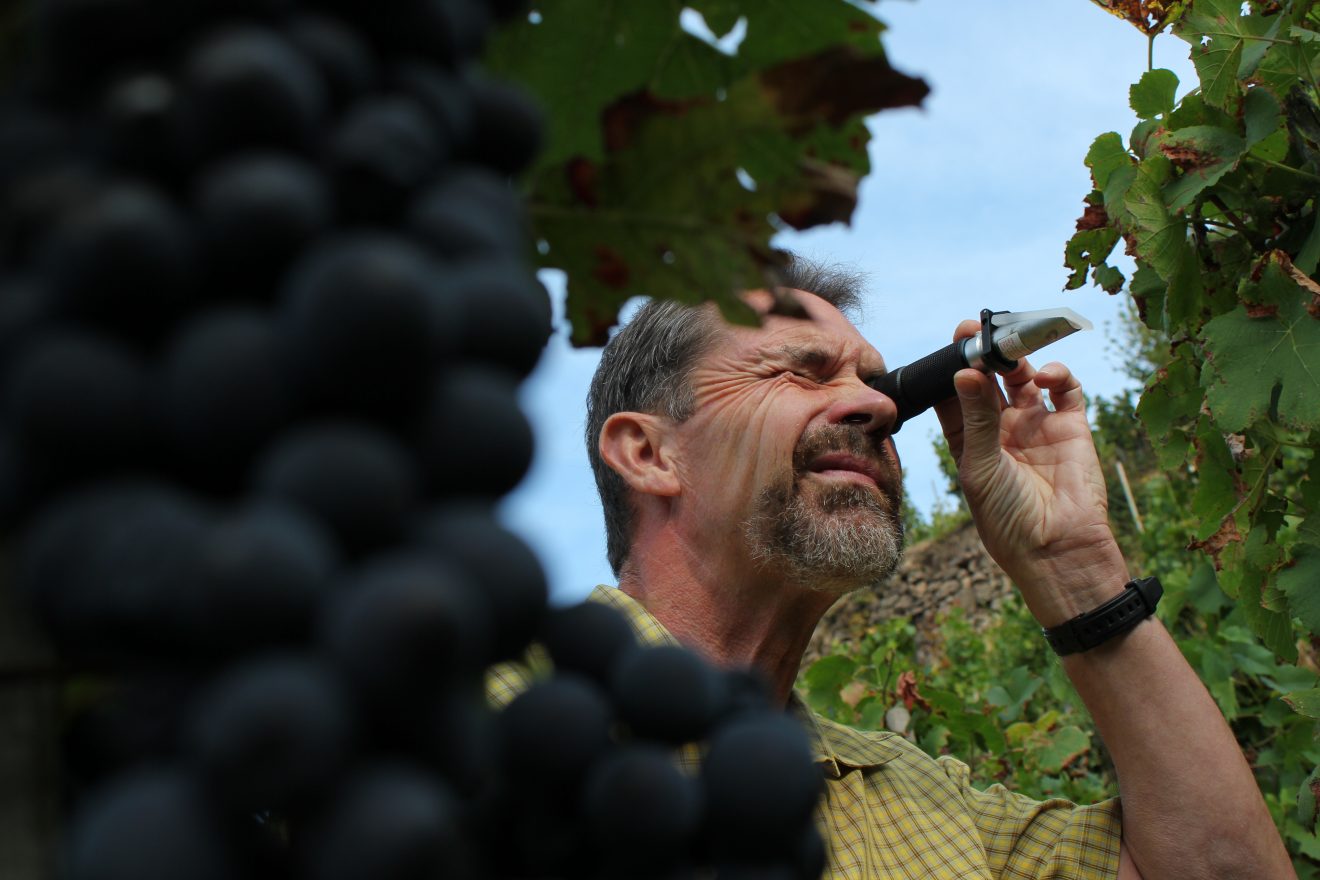 Spätburgunder Bühlertaler Engelsfelsen