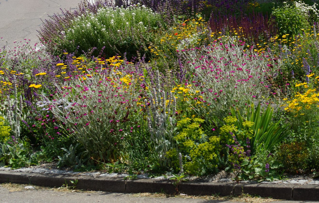 Forum Bienenweide 2019