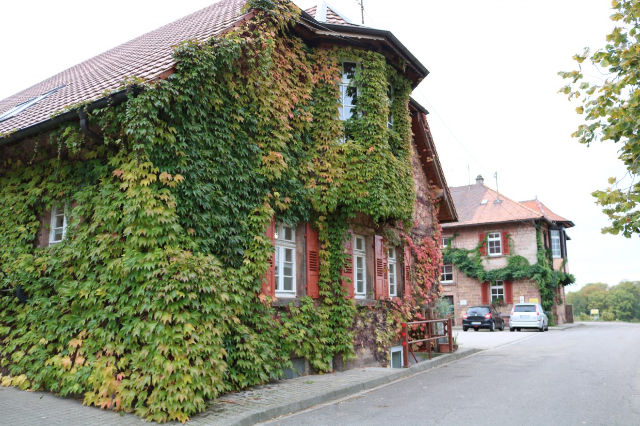 Der Aspichhof - vielfältige Landwirtschaft und soziale Einrichtung