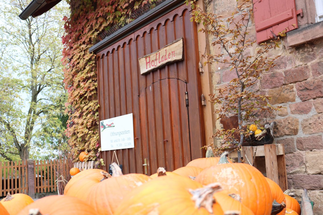 Der Aspichhof - vielfältige Landwirtschaft und soziale Einrichtung