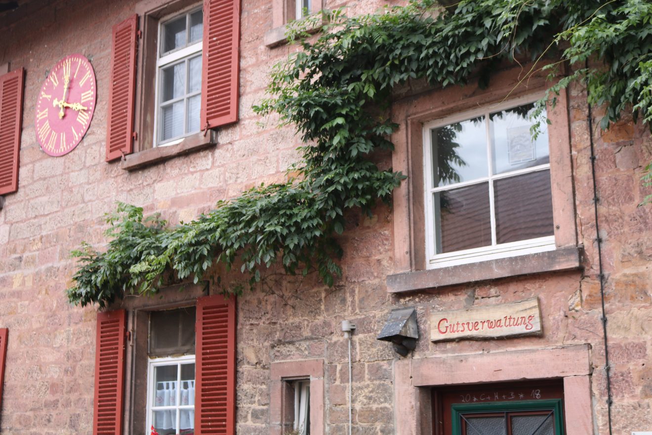 Der Aspichhof - vielfältige Landwirtschaft und soziale Einrichtung