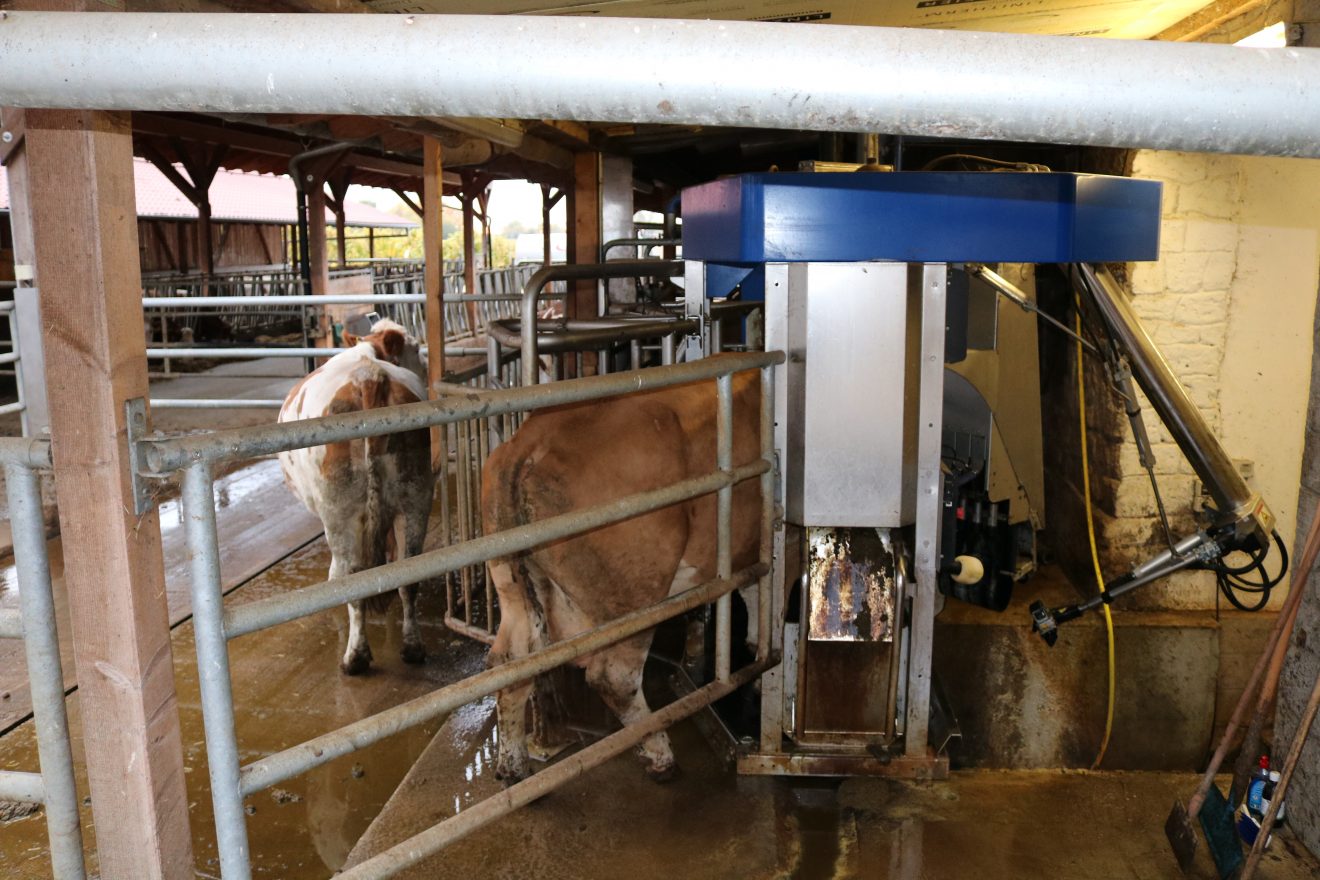 Der Aspichhof - vielfältige Landwirtschaft und soziale Einrichtung