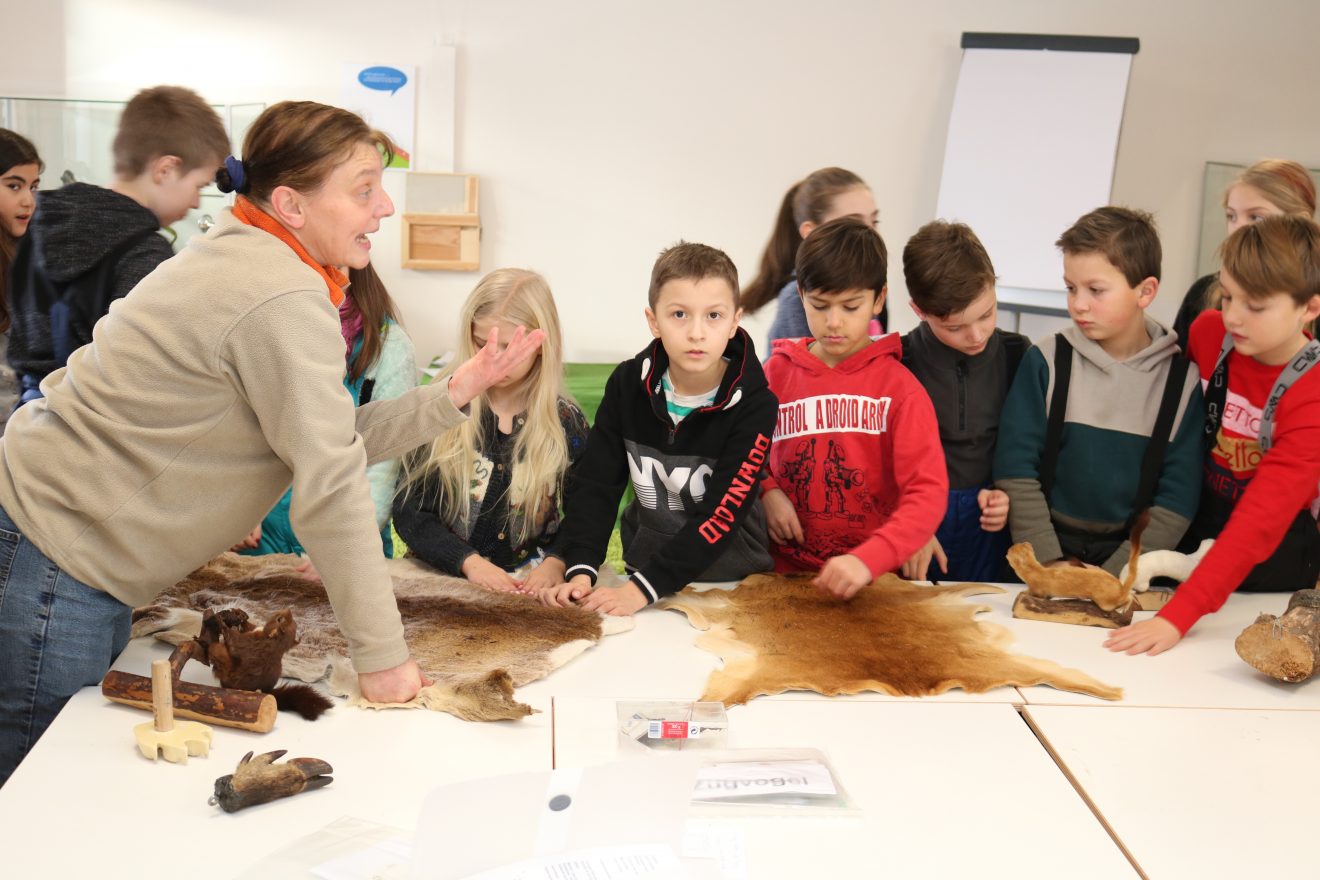 Naturpark-Entdeckertage am Infozentrum Kaltenbronn