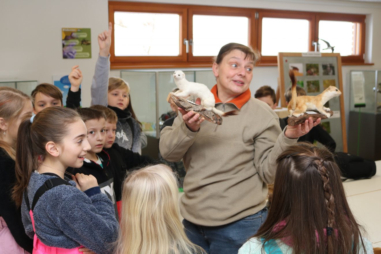 Naturpark-Entdeckertage am Infozentrum Kaltenbronn