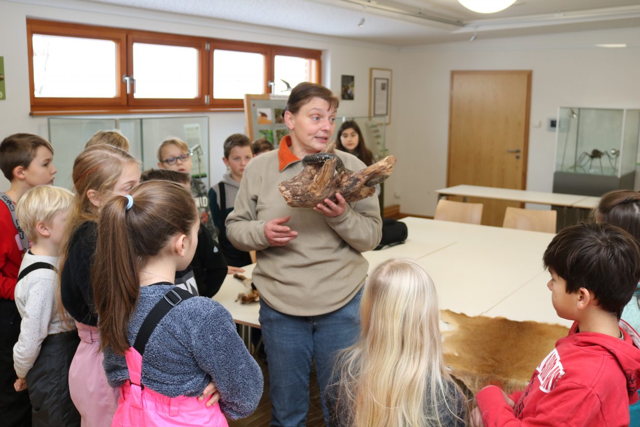 Naturpark-Entdeckertage am Infozentrum Kaltenbronn