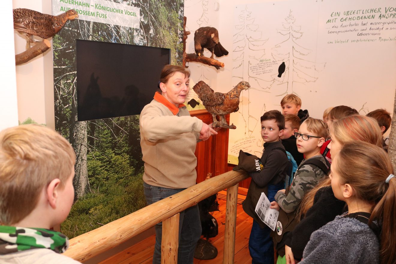 Naturpark-Entdeckertage am Infozentrum Kaltenbronn
