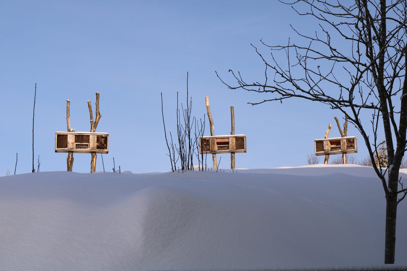 Naturpark-Entdeckertage am Infozentrum Kaltenbronn
