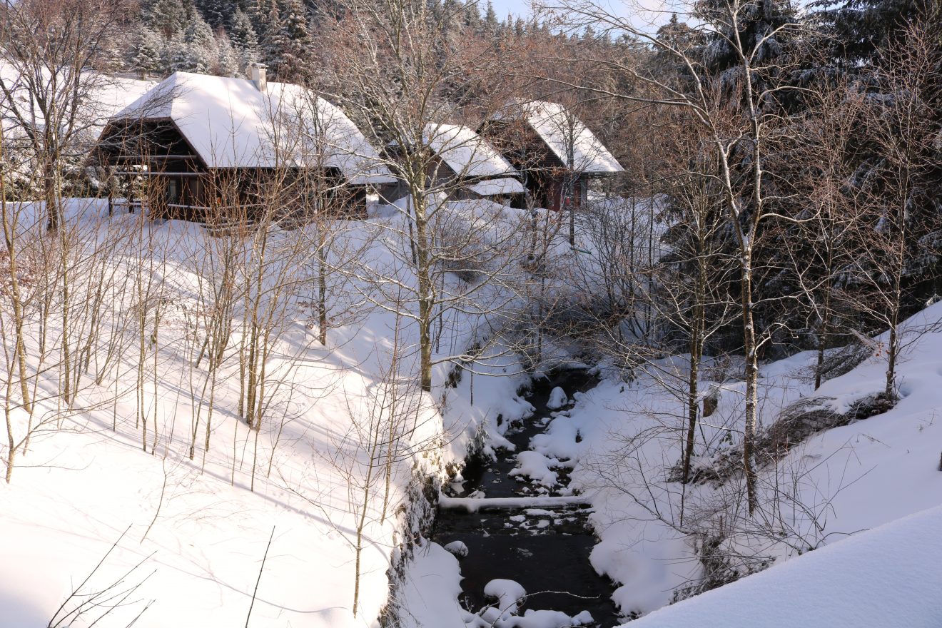 Naturpark-Entdeckertage am Infozentrum Kaltenbronn