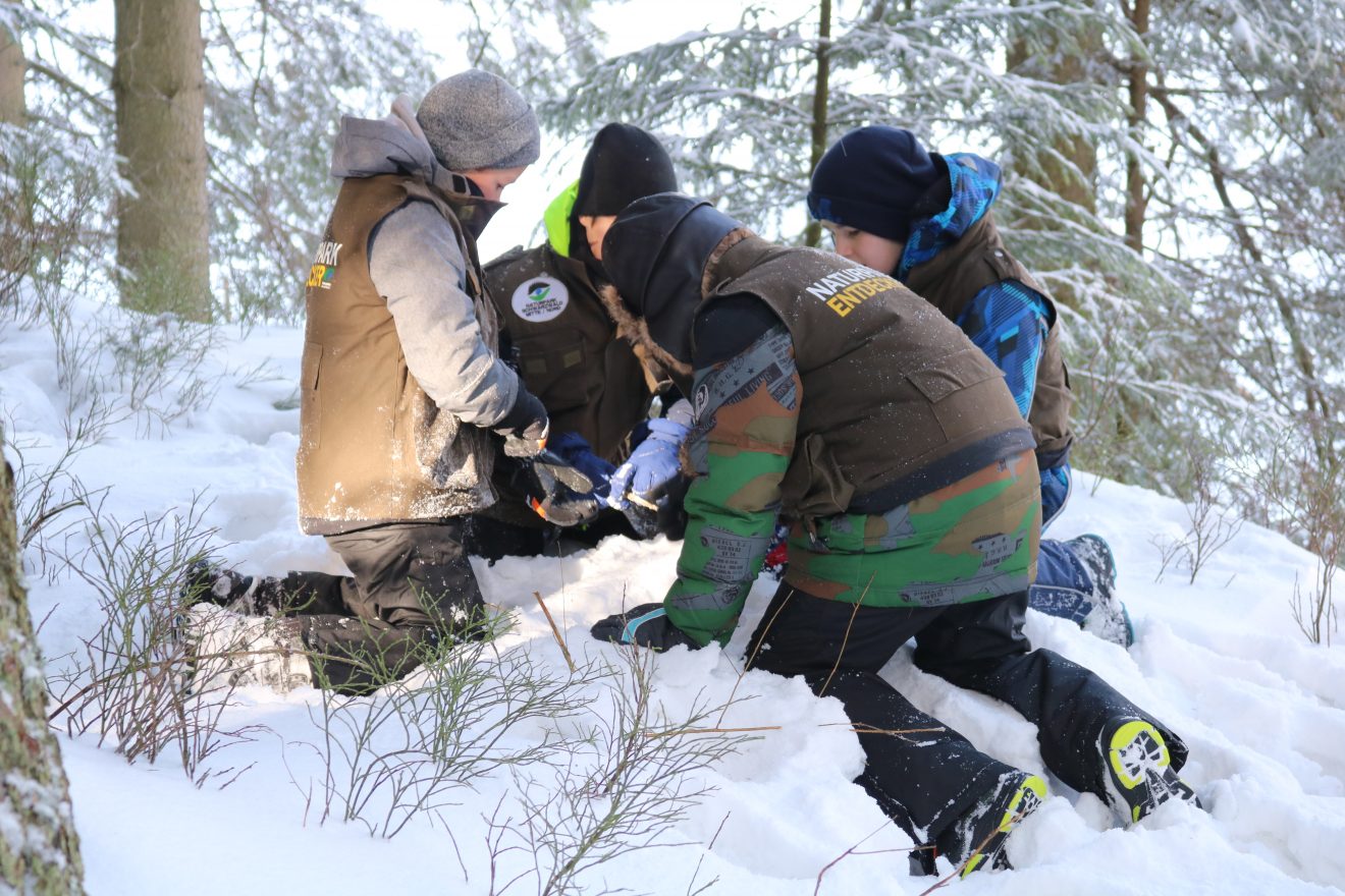 Naturpark-Entdeckertage am Infozentrum Kaltenbronn
