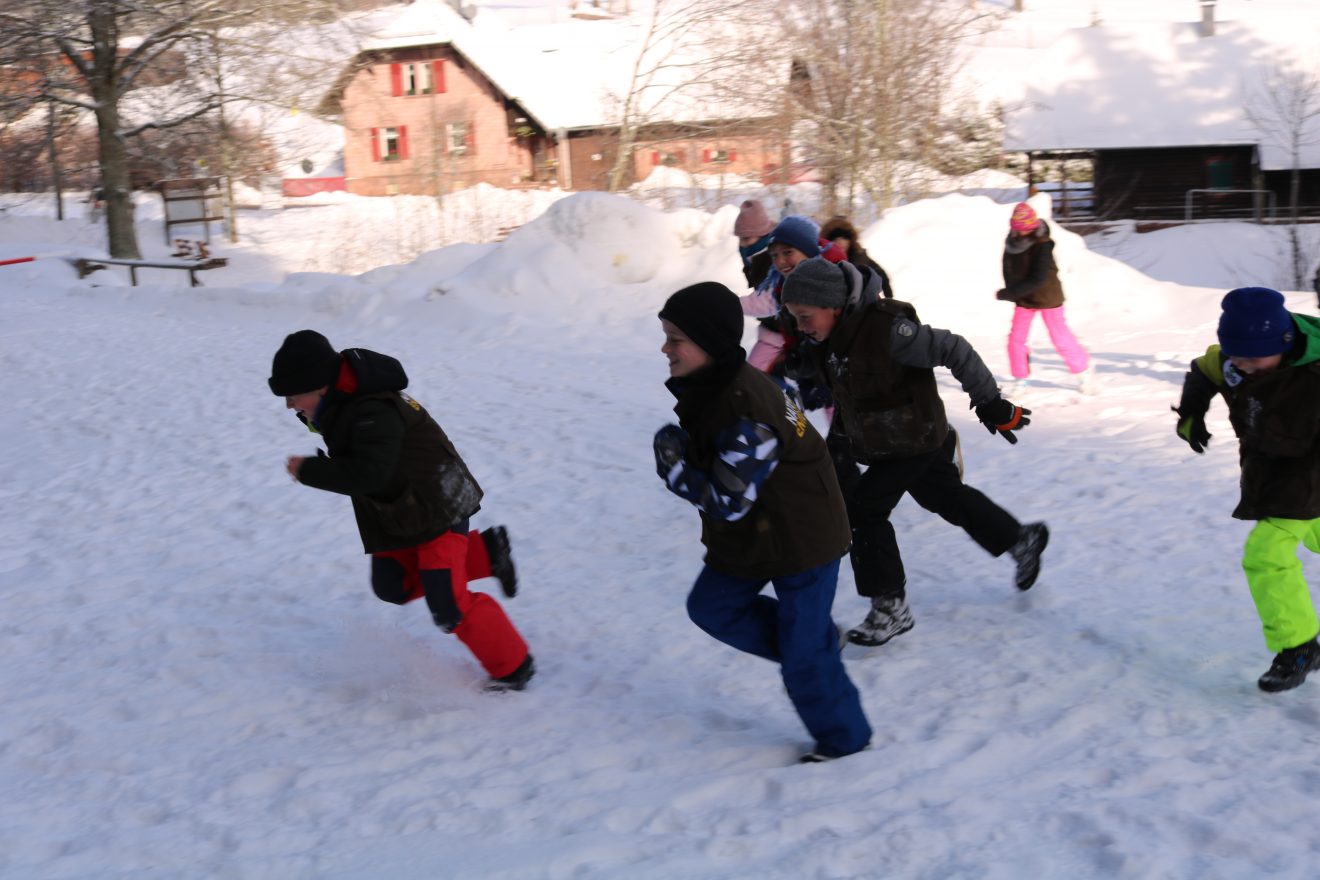 Naturpark-Entdeckertage am Infozentrum Kaltenbronn