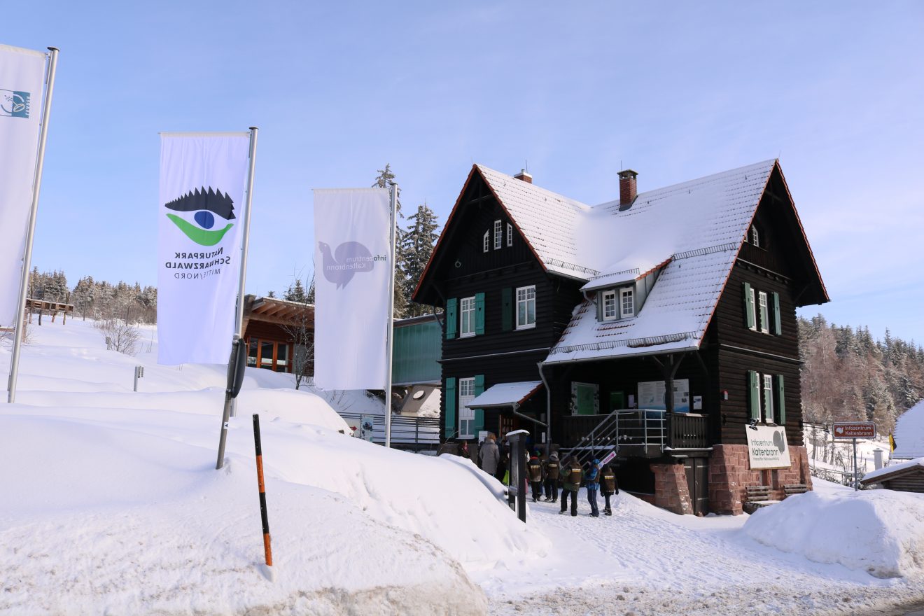 Naturpark-Entdeckertage am Infozentrum Kaltenbronn
