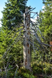 Trekking-Tour Nicolai Stotz