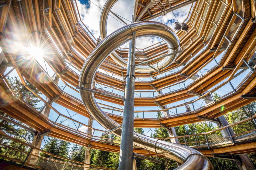 Baumwipfelpfad - Verlosung Familienkarten