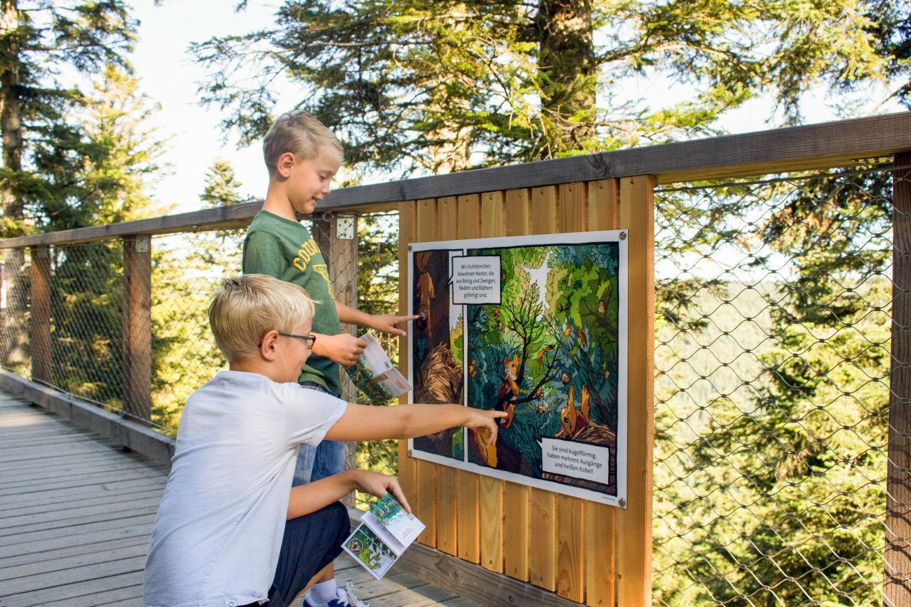Baumwipfelpfad - Verlosung Familienkarten
