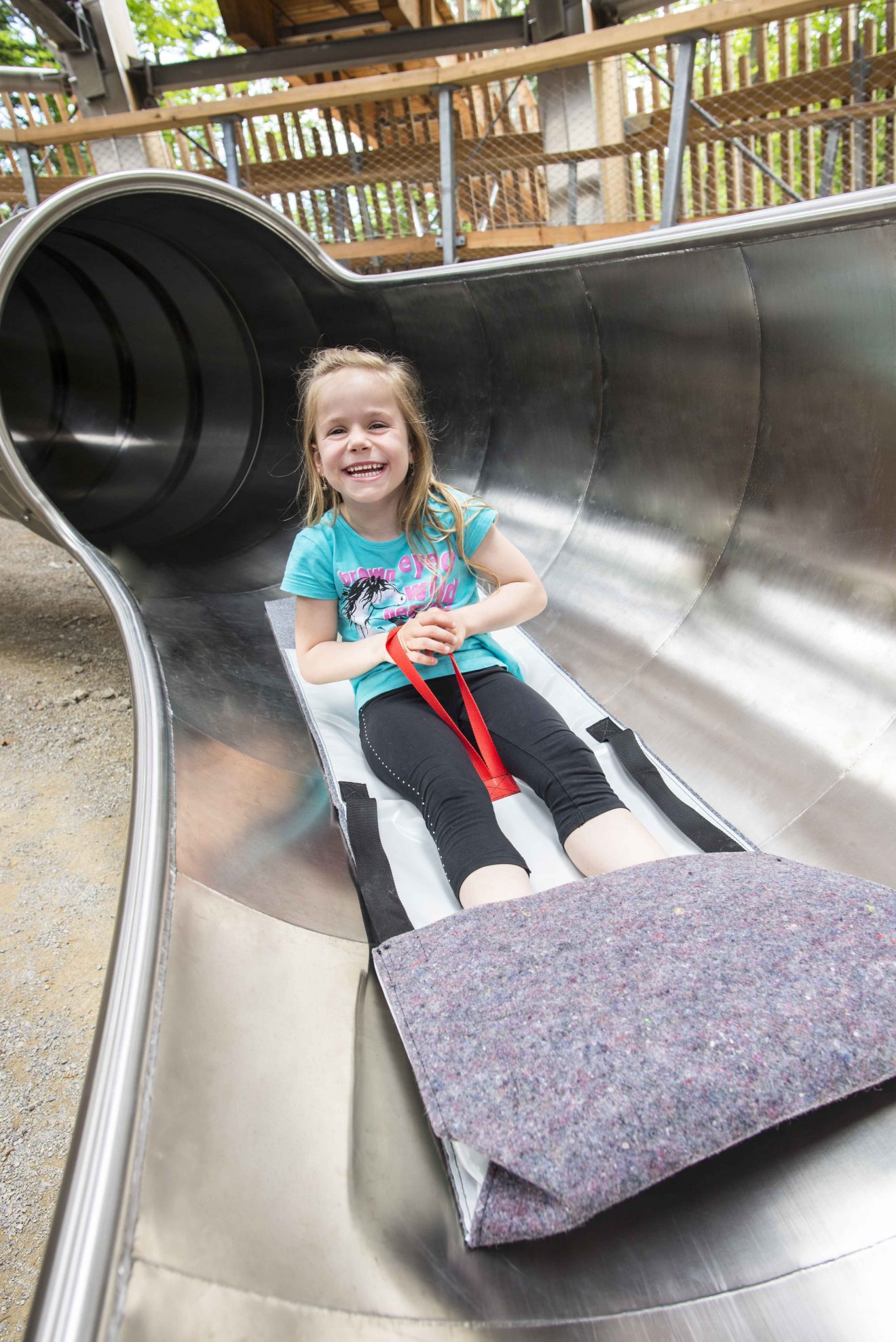 Baumwipfelpfad - Verlosung Familienkarten