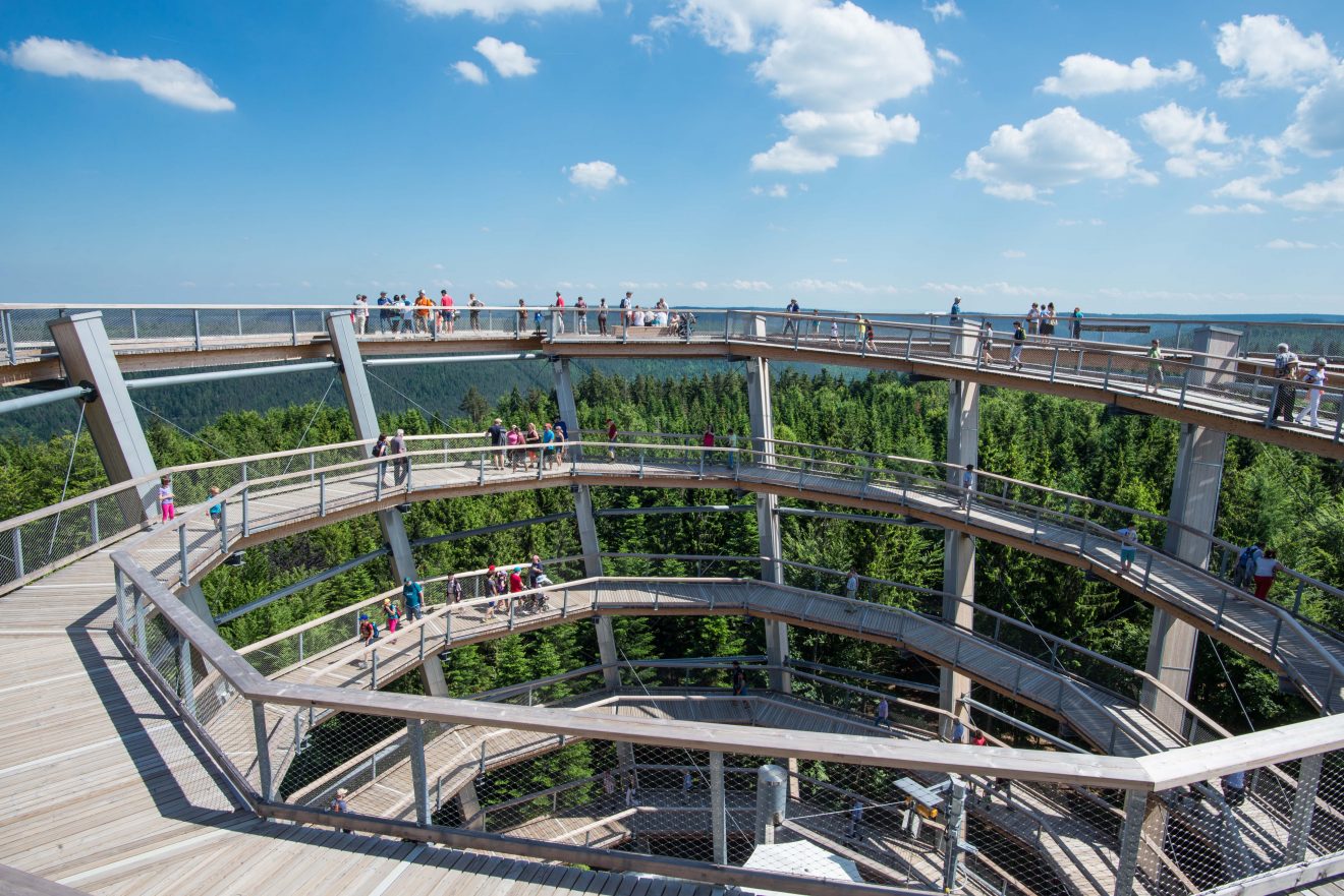 Baumwipfelpfad - Verlosung Familienkarten