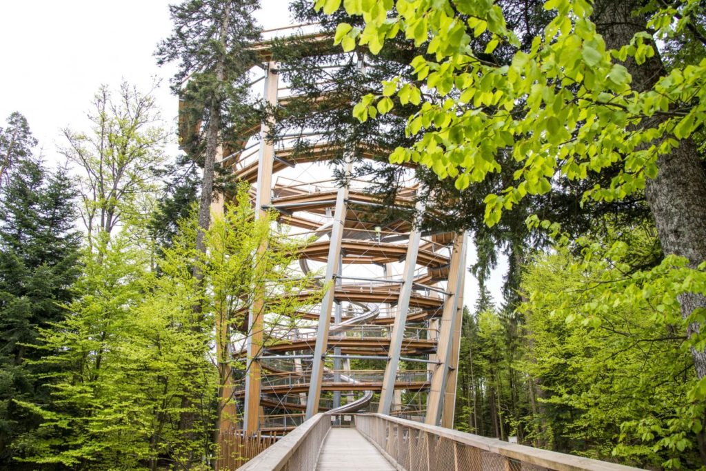 Baumwipfelpfad - Verlosung Familienkarten