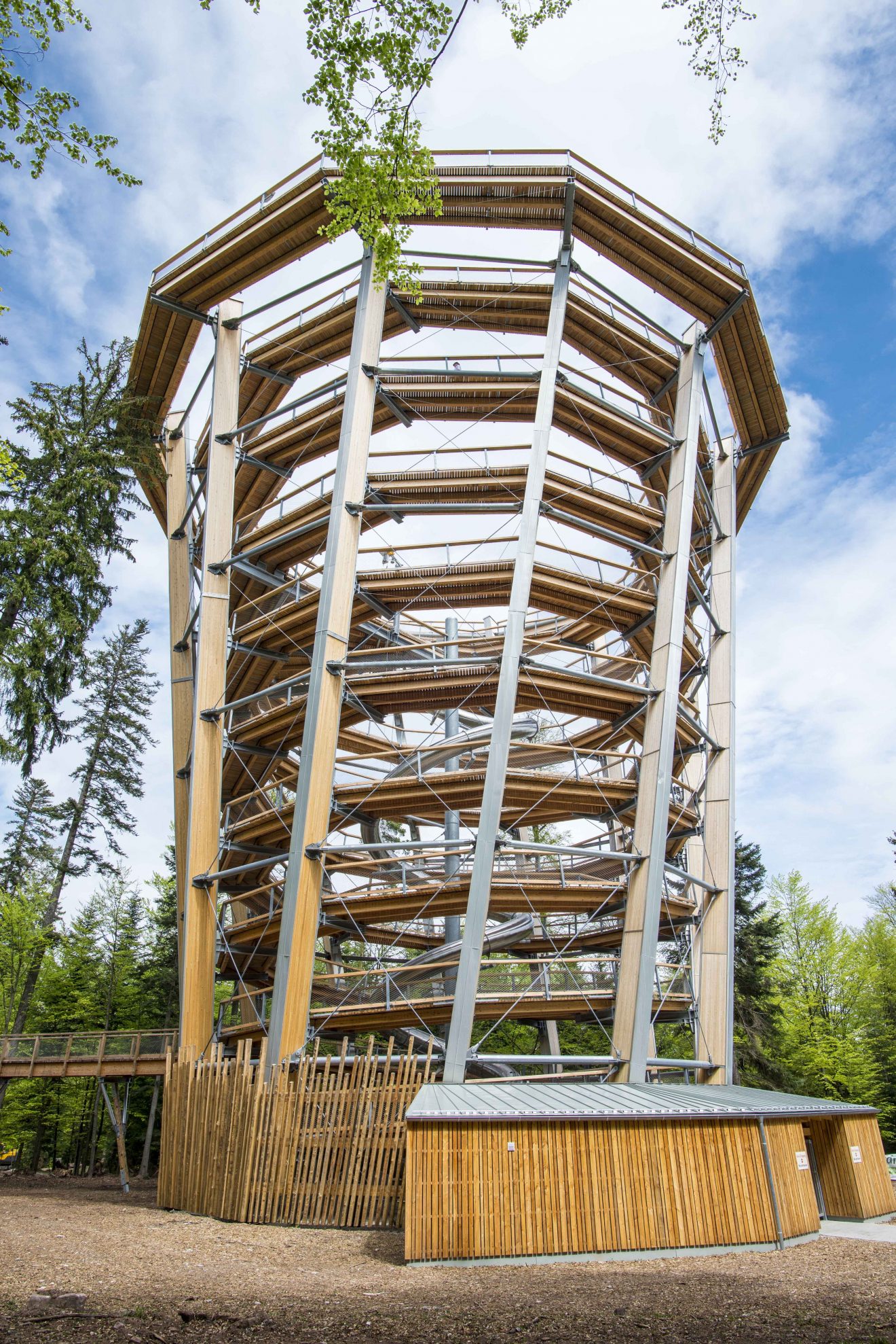 Baumwipfelpfad - Verlosung Familienkarten