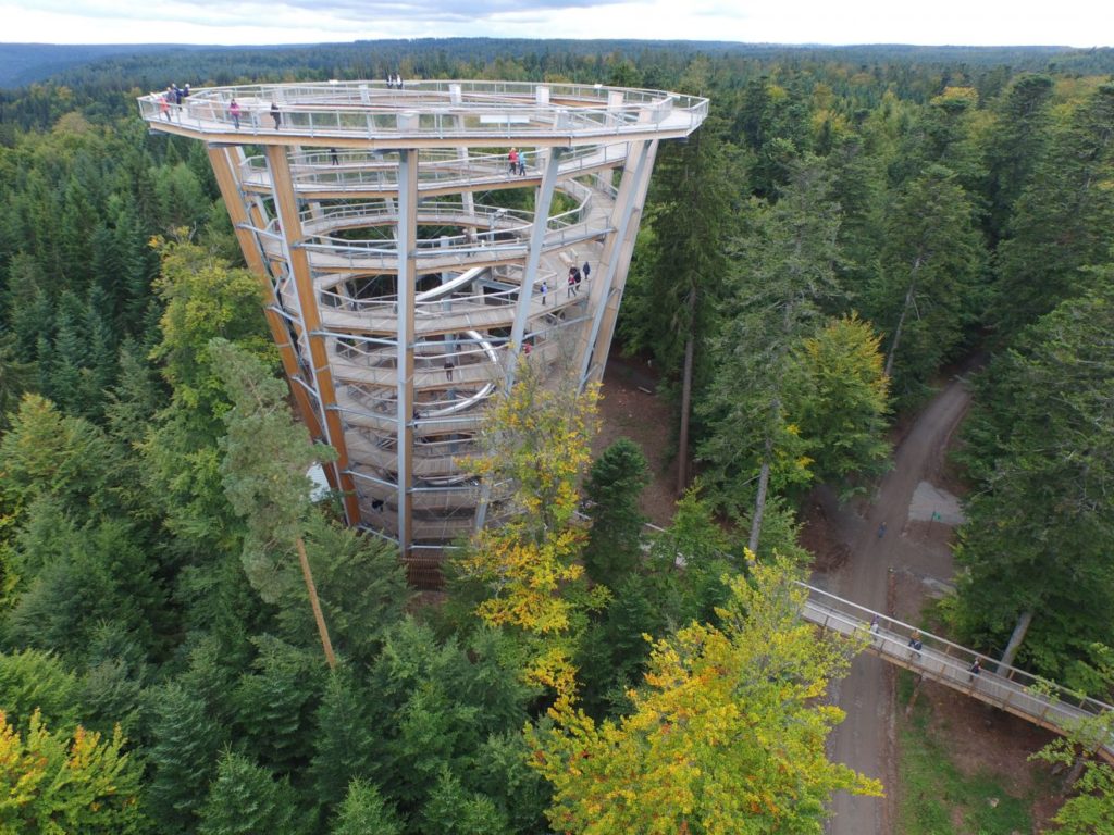 Baumwipfelpfad - Verlosung Familienkarten