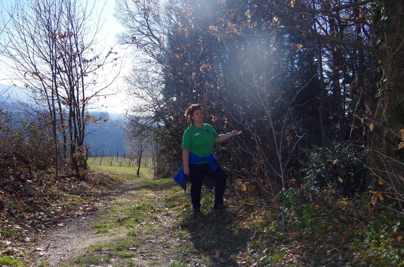 Fünf Fragen an Schwarzwald-Guide Doris Kist