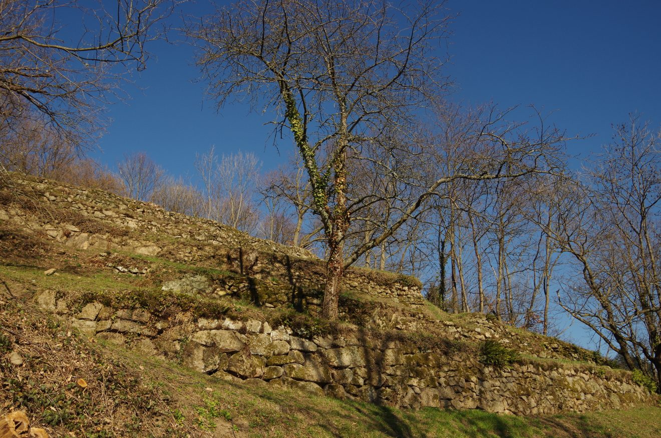 Fünf Fragen an Schwarzwald-Guide Doris Kist