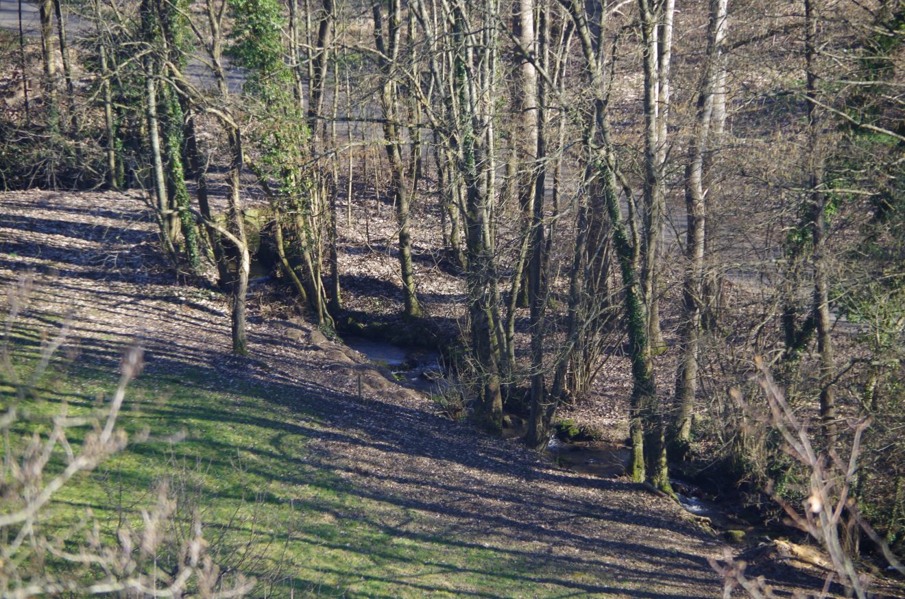 Fünf Fragen an Schwarzwald-Guide Doris Kist