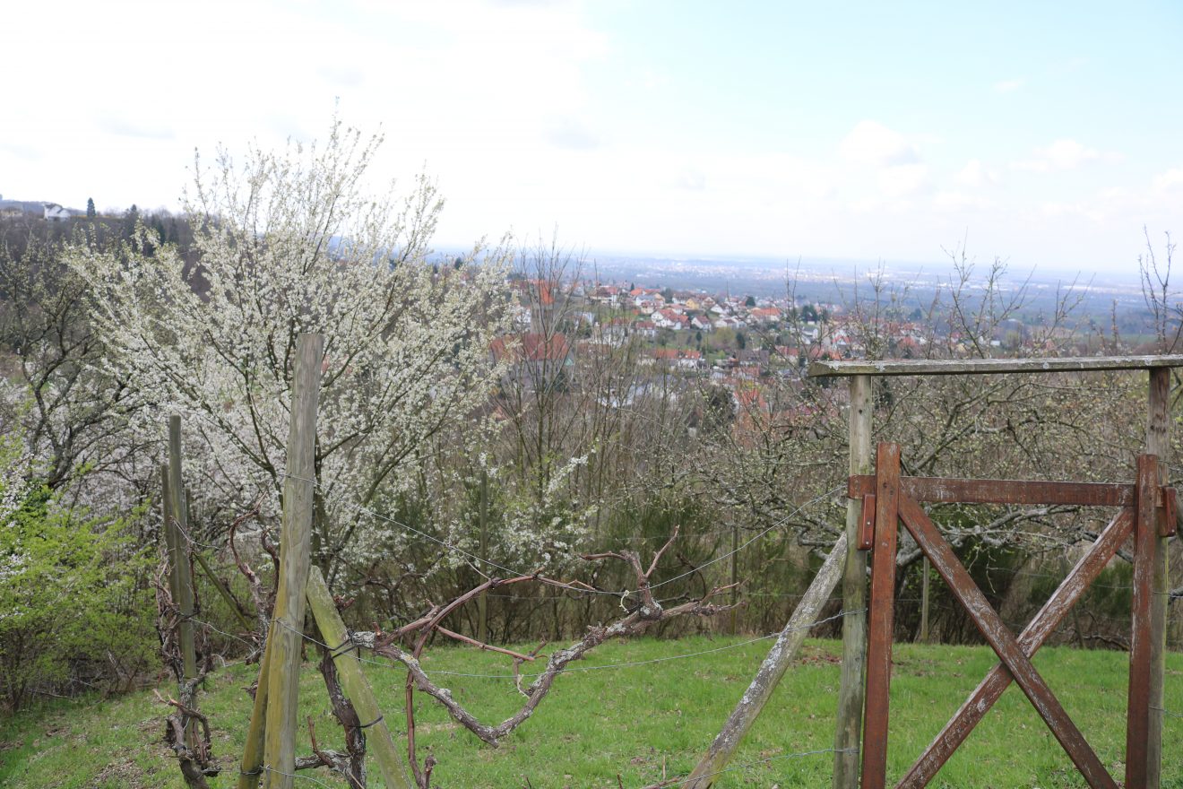Fünf Fragen an Schwarzwald-Guide Doris Kist