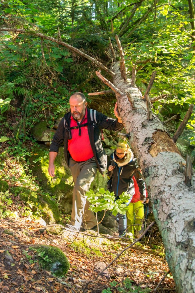 Naturpark-Augenblick Calw-Holzbronn
