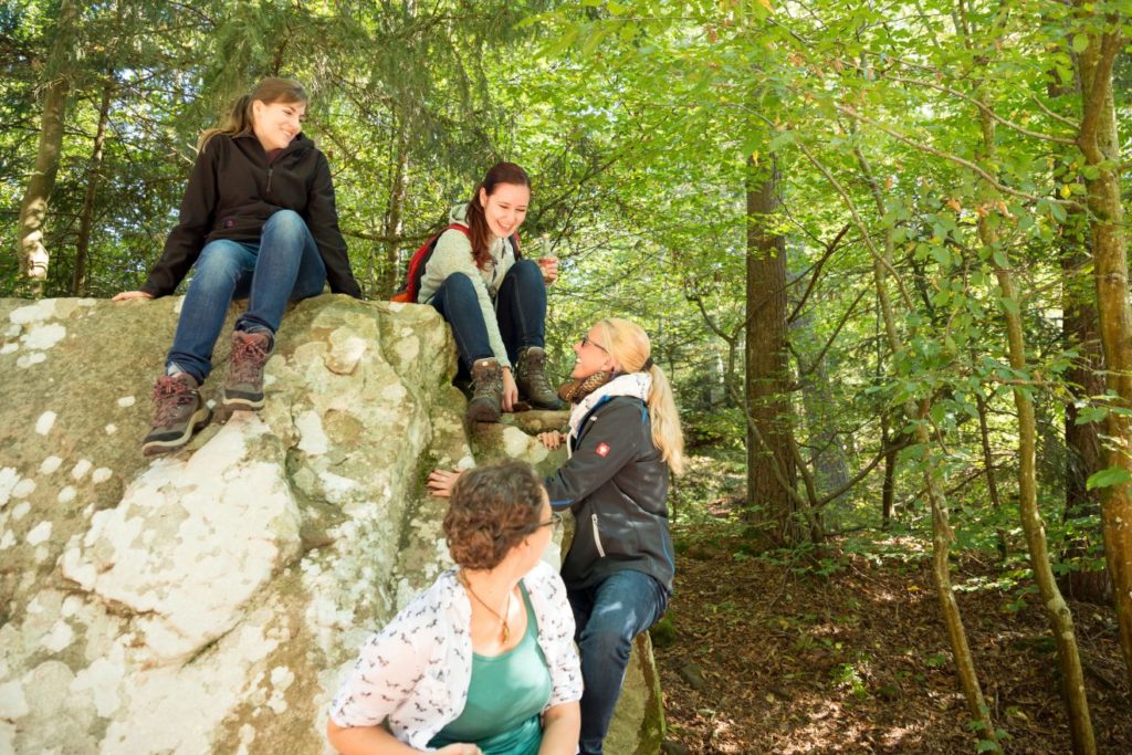 Naturpark-Augenblick Calw-Holzbronn