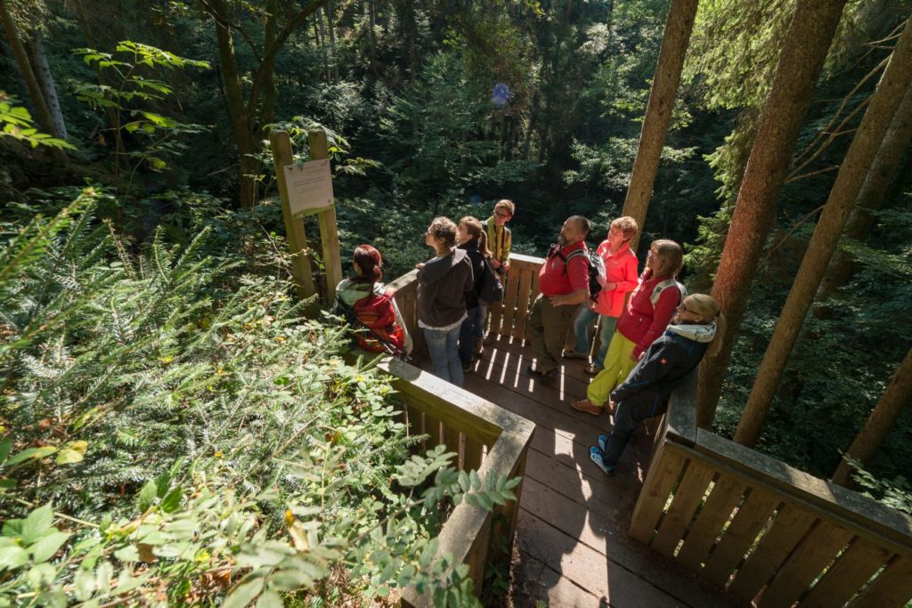 Naturpark-Augenblick Calw-Holzbronn