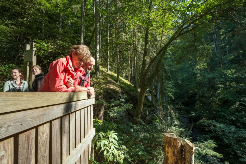 Naturpark-Augenblick Calw-Holzbronn