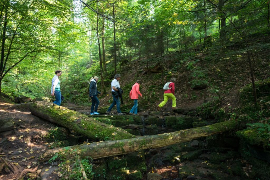 Naturpark-Augenblick Calw-Holzbronn
