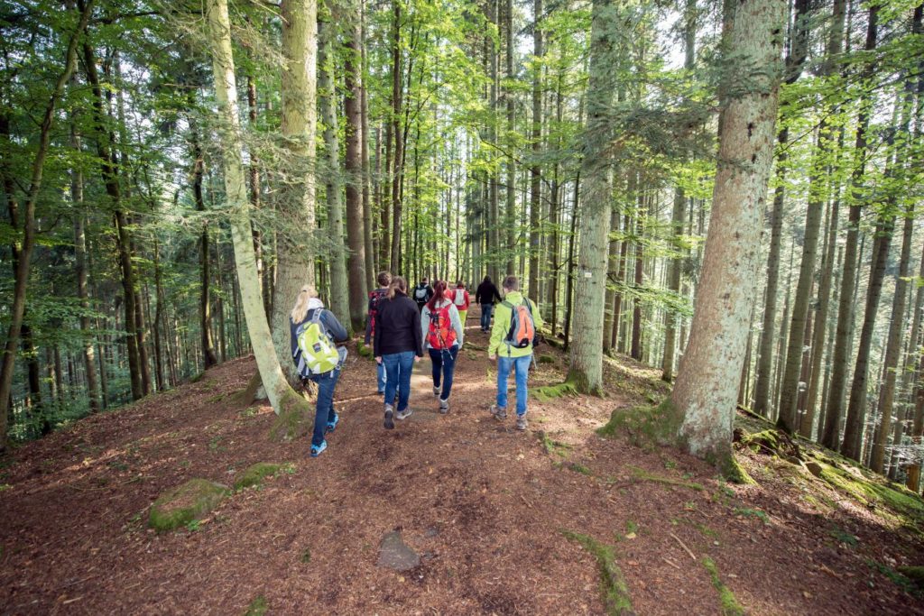 Naturpark-Augenblick Calw-Holzbronn