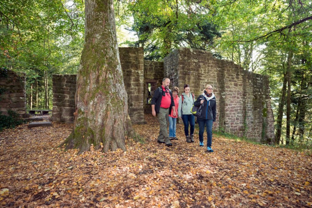 Naturpark-Augenblick Calw-Holzbronn