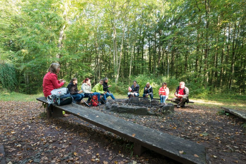 Naturpark-Augenblick Calw-Holzbronn