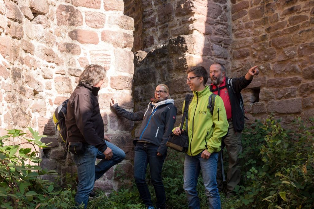 Naturpark-Augenblick Calw-Holzbronn