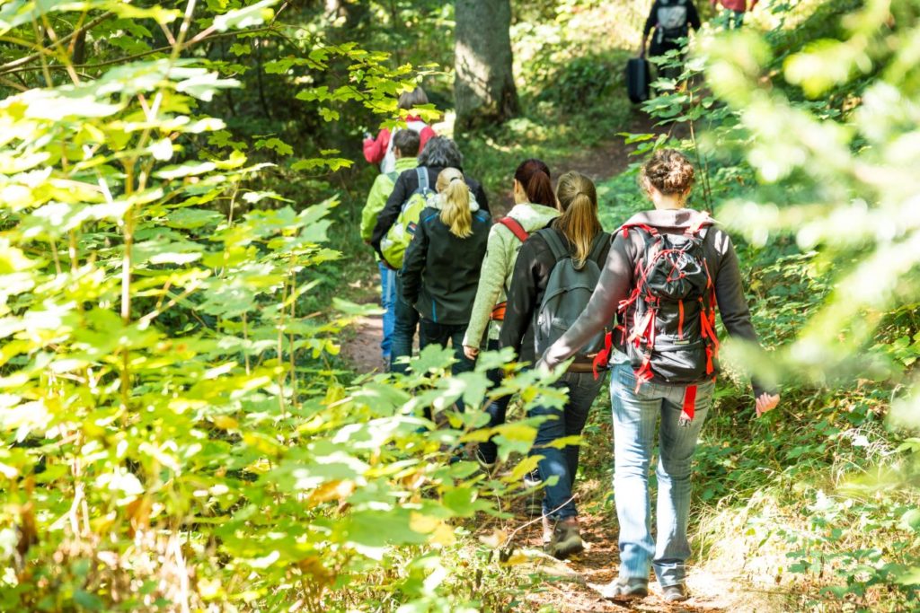 Naturpark-Augenblick Calw-Holzbronn