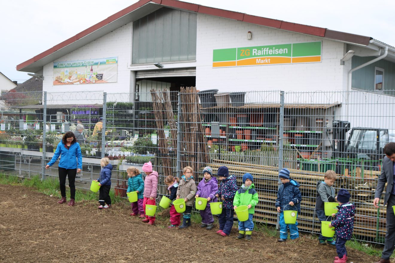 Erste Frühjahrsaussaat Blühender Naturpark Kippenheim