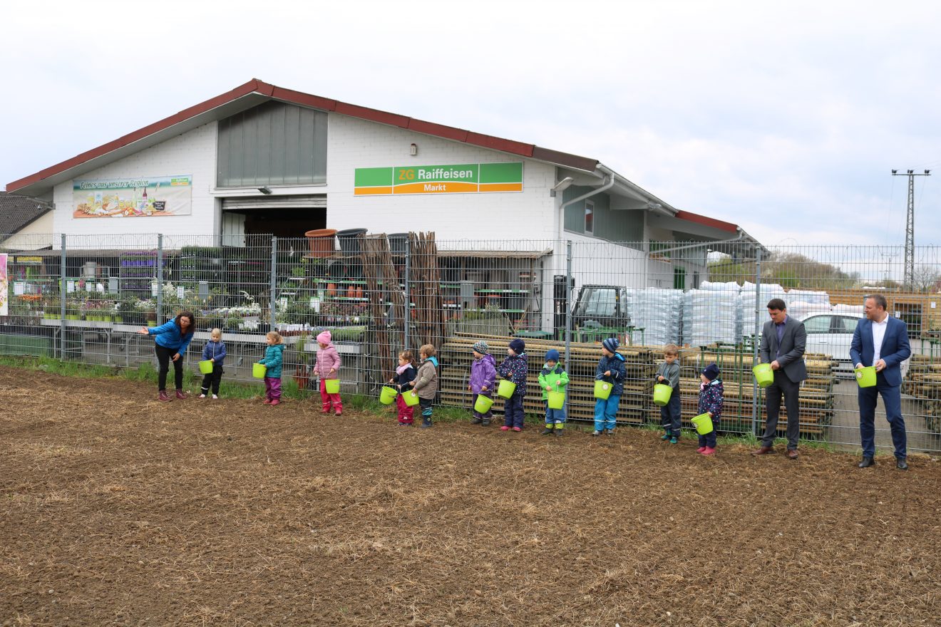 Erste Frühjahrsaussaat Blühender Naturpark in Kippenheim