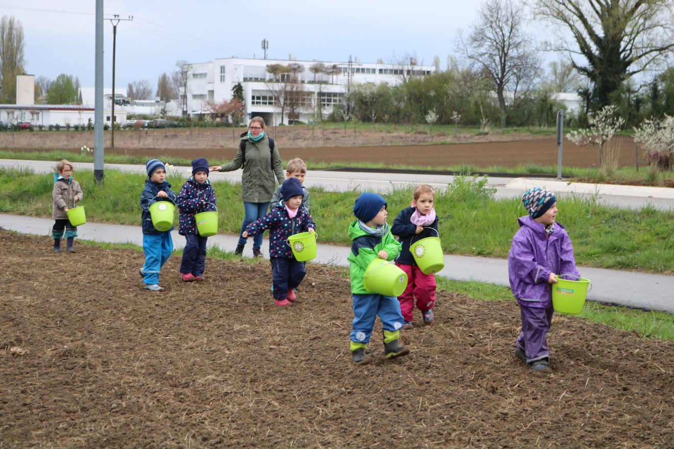 Erste Frühjahrsaussaat Blühender Naturpark in Kippenheim