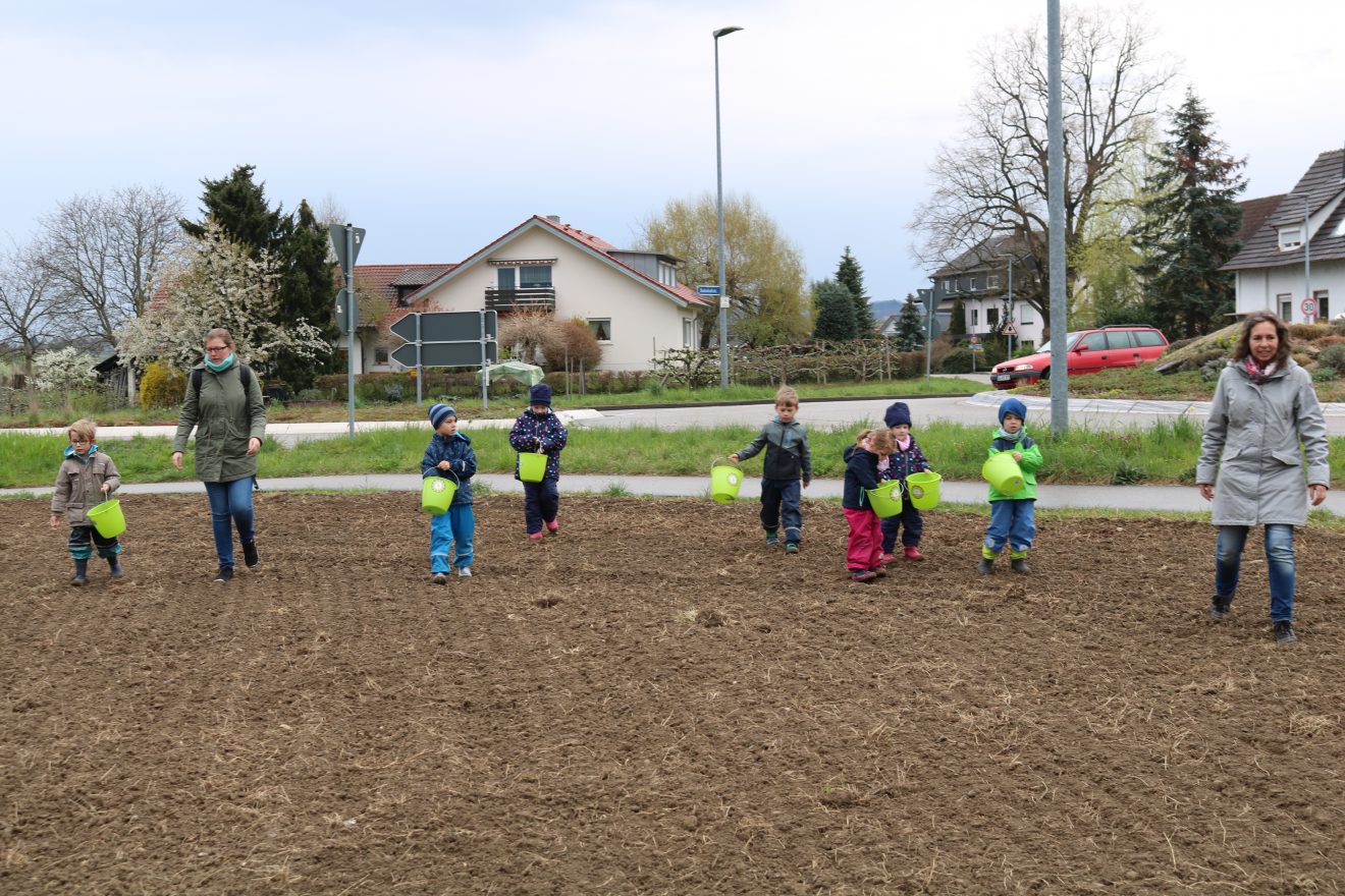 Erste Frühjahrsaussaat Blühender Naturpark in Kippenheim