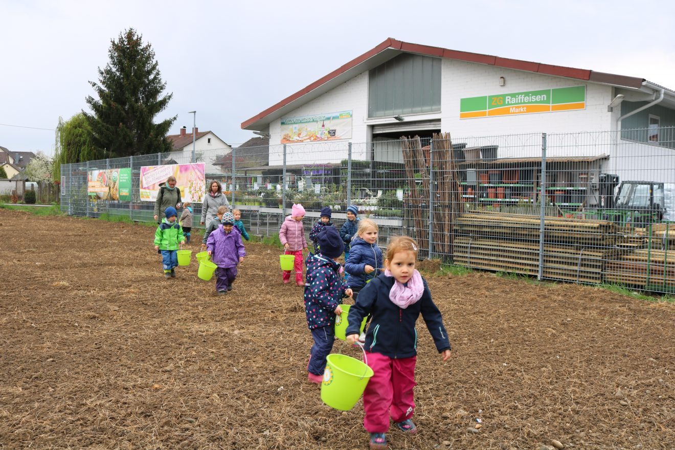 Erste Frühjahrsaussaat Blühender Naturpark in Kippenheim