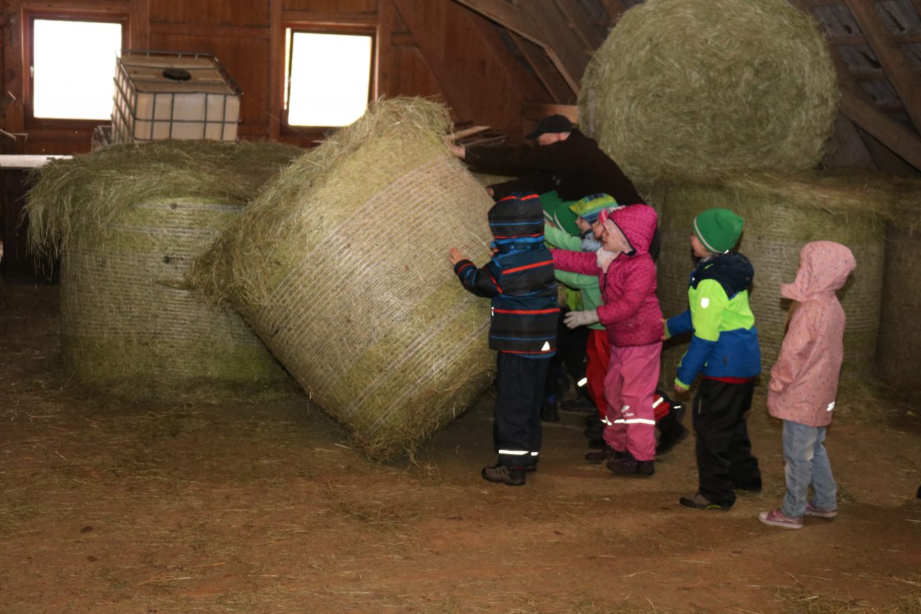 Muh, die Kuh - Auftakt 2019 auf dem Maierhof
