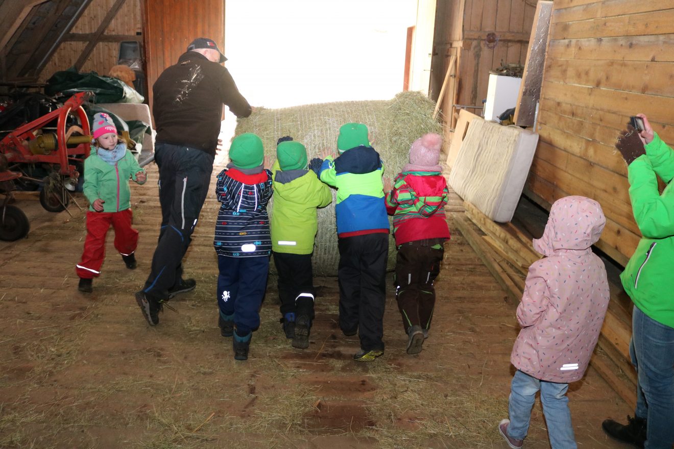 Muh, die Kuh - Auftakt 2019 auf dem Maierhof