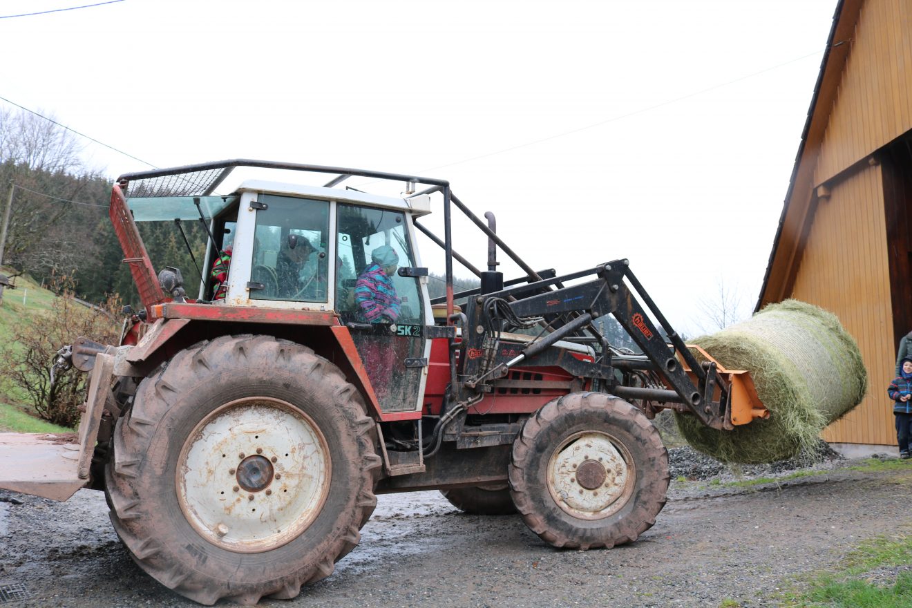 Muh, die Kuh - Auftakt 2019 auf dem Maierhof