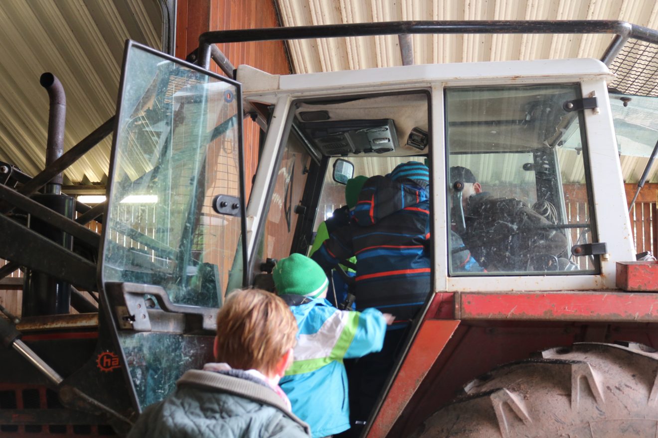 Muh, die Kuh - Auftakt 2019 auf dem Maierhof