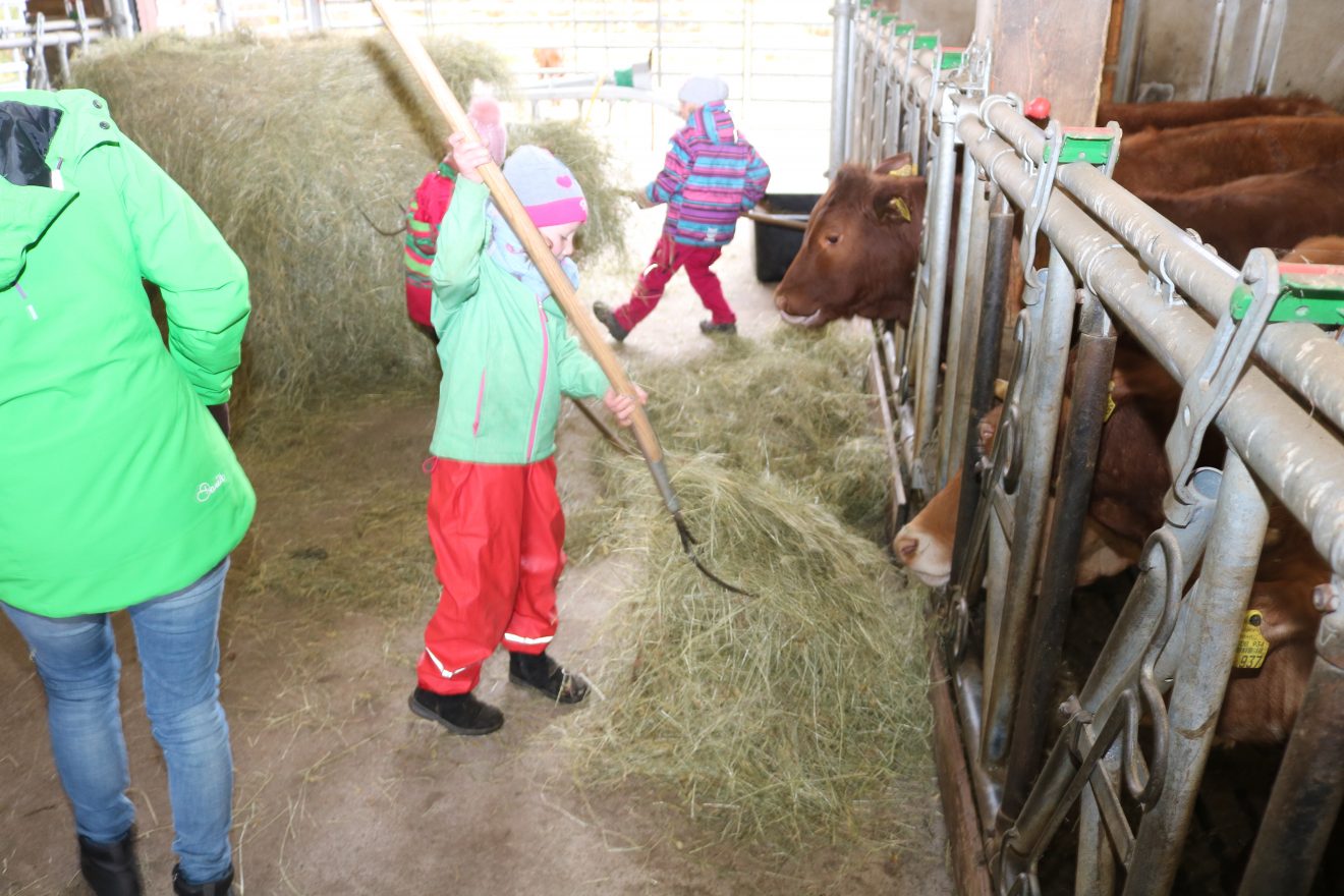 Muh, die Kuh - Auftakt 2019 auf dem Maierhof