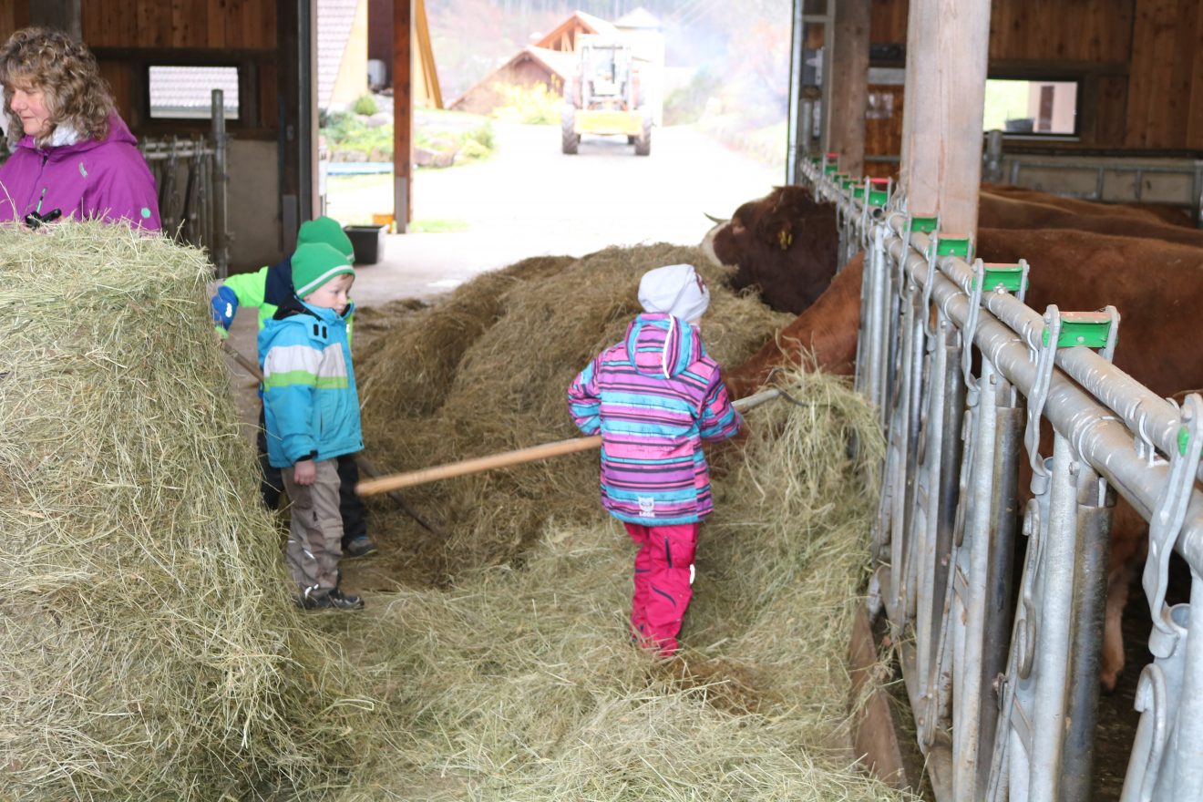 Muh, die Kuh - Auftakt 2019 auf dem Maierhof