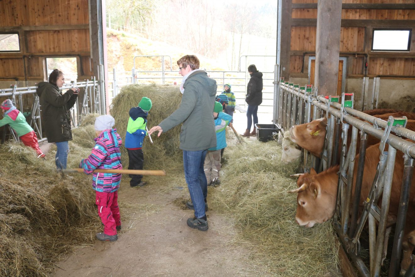 Muh, die Kuh - Auftakt 2019 auf dem Maierhof