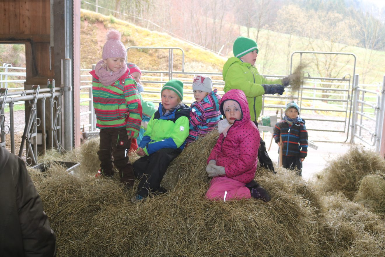 Muh, die Kuh - Auftakt 2019 auf dem Maierhof